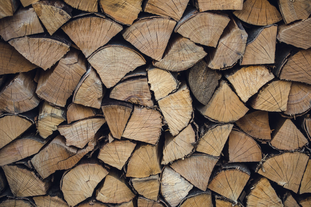 たき火の焚きつけに使う薪は針葉樹