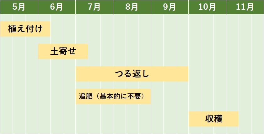 サツマイモの栽培カレンダー
