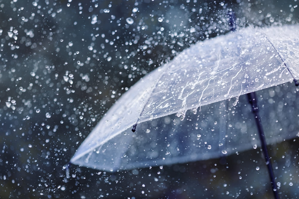 豪雨の際の雨粒に打たれる傘