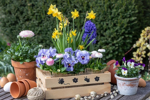おしゃれに様々な巣類のお花が植えられた鉢
