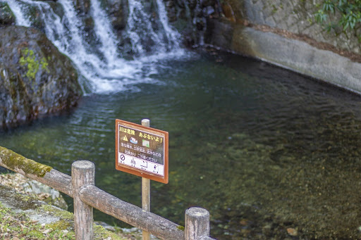 川に関しての注意が記されている看板が刺さっている川