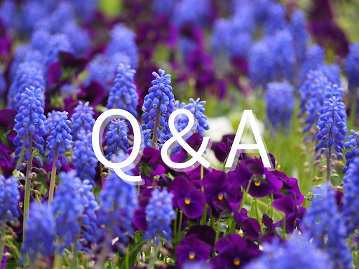 咲き誇る花を背景にQ&Aの文字を追加加工した画像