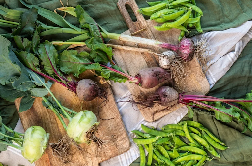 収穫された様々な種類の野菜達
