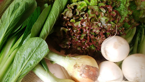 収穫後の野菜