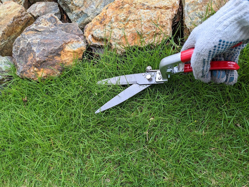“芝生用ハサミで際刈りをしている様子"