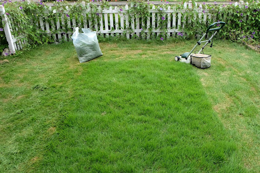 “白い柵に囲まれた庭で、芝刈り機と刈り取った芝を入れた袋を使い、芝生を手入れしている様子"