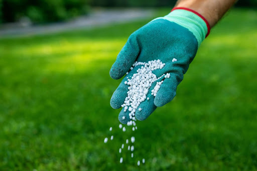 “芝生に肥料を撒いている様子"