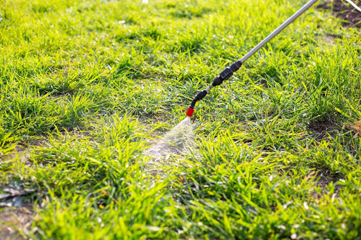 “芝生に除草剤を撒いている様子"