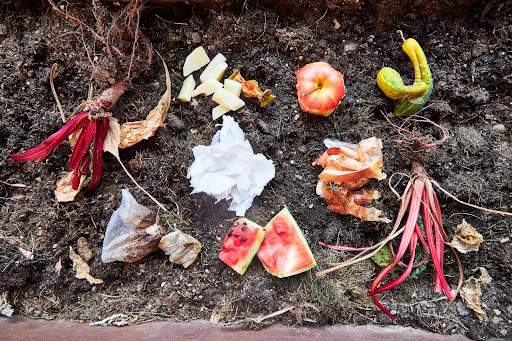 “コンポスターに入れてOKな生ごみ"