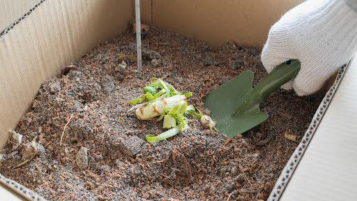 “ダンボールコンポストに入れた生ごみをスコップでかき混ぜる様子"