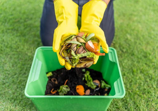 “コンポストに入れる野菜や果物のくず"