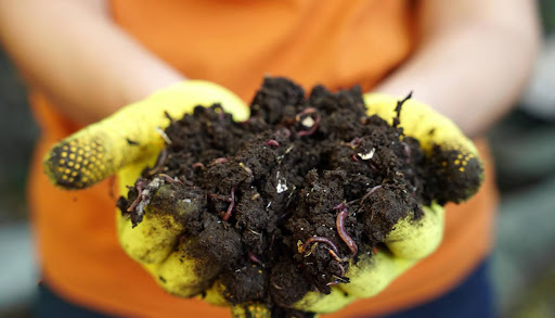 “手作りコンポストで作った堆肥"