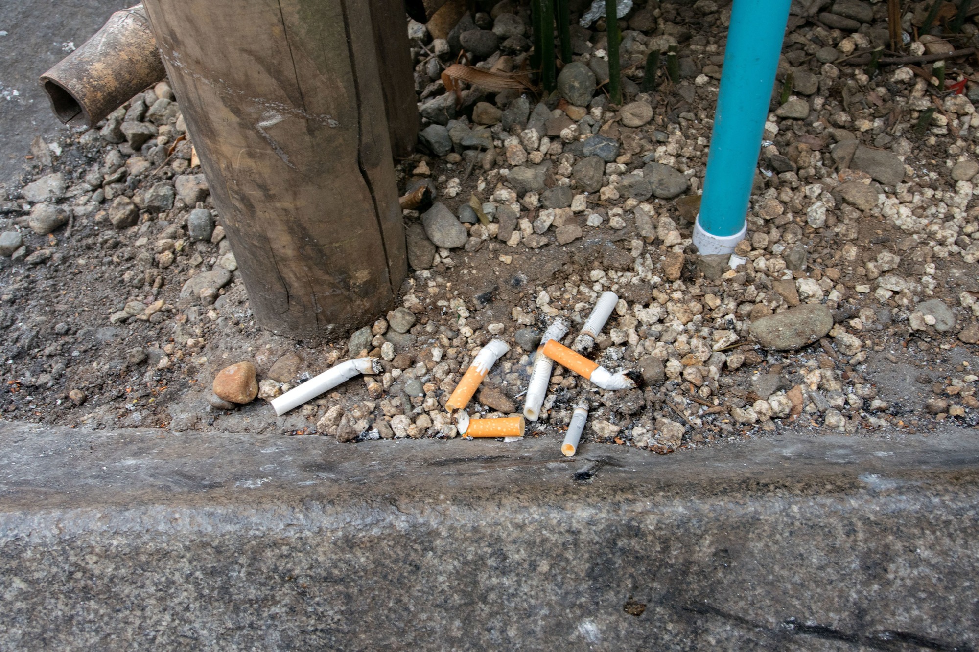 cig