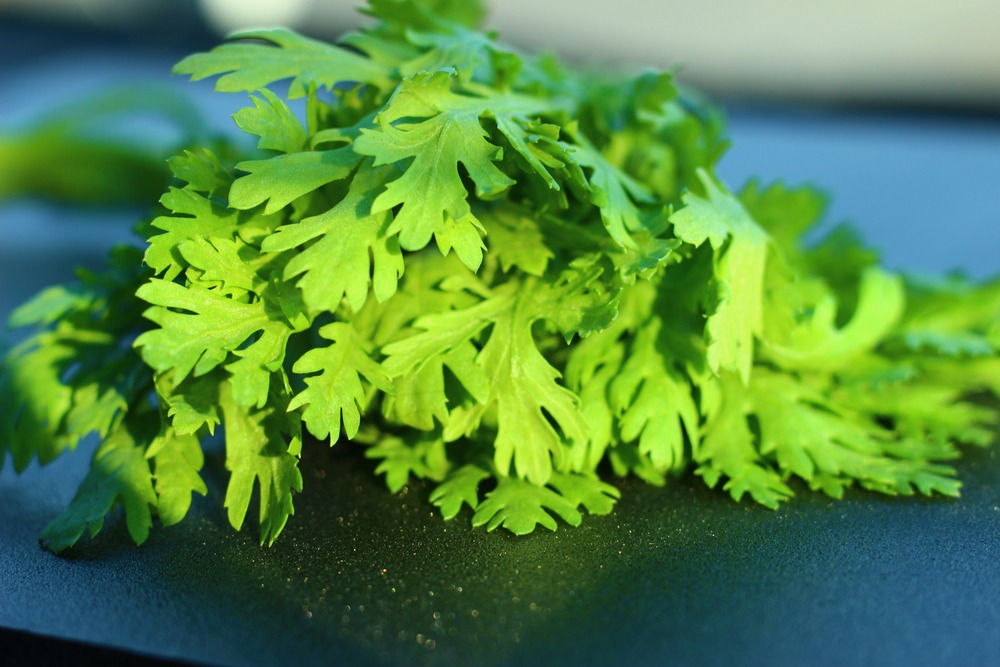 leaf