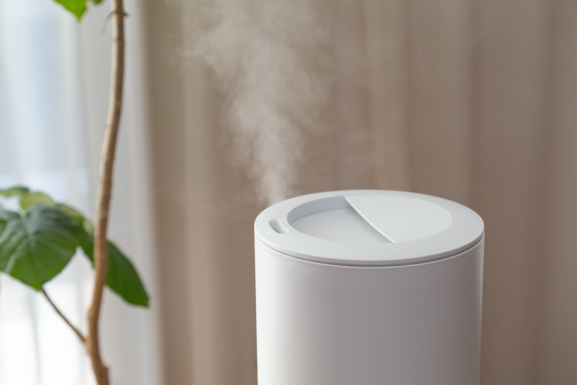 観葉植物のそばでミストを噴き出す白い加湿器