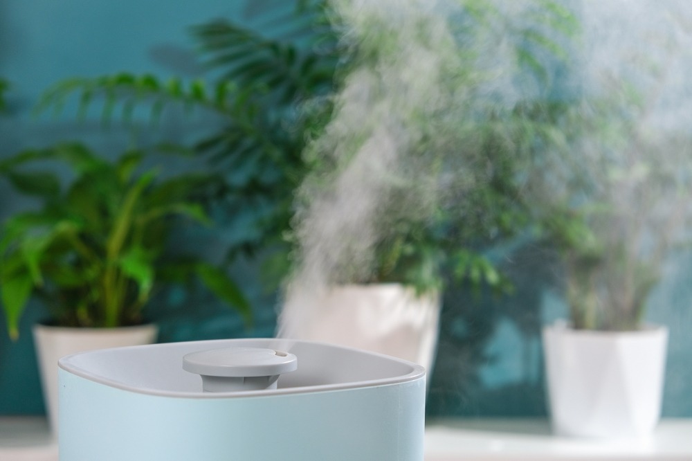 観葉植物の前でミストを放出している加湿器